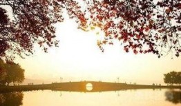 断桥爆料技巧视频,视频教学助你轻松掌握