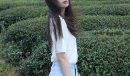 娱乐爆料陈瑶是哪一期的,娱乐爆料揭秘哪一期精彩瞬间