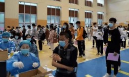 新船员最新爆料消息视频,航程中的惊险瞬间与幕后故事